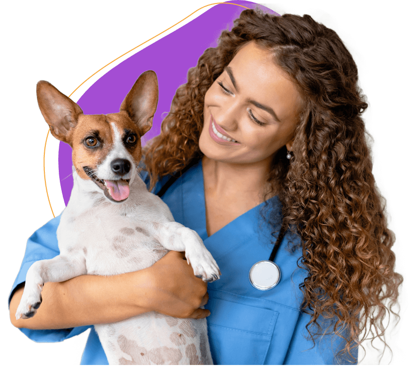Dog ready for medicine image