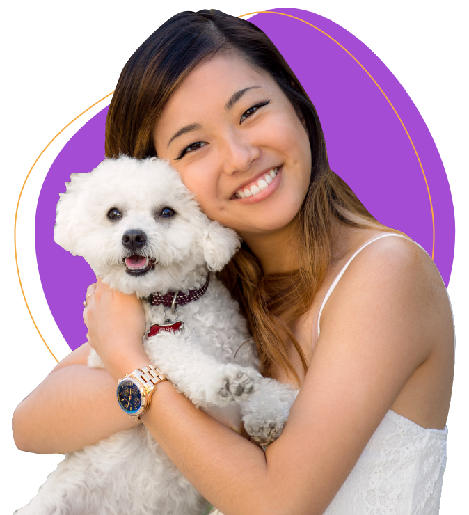 Doggy daycare services image