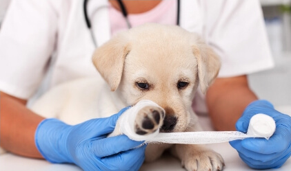 Injections special treatment image