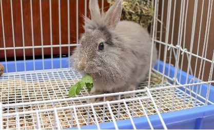 Nutritional expertise image
