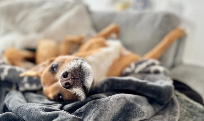 Regular rest periods image